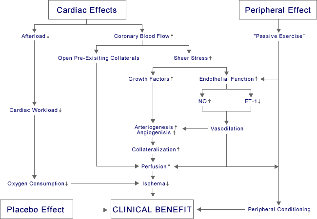 Mekanizma Diyagramı